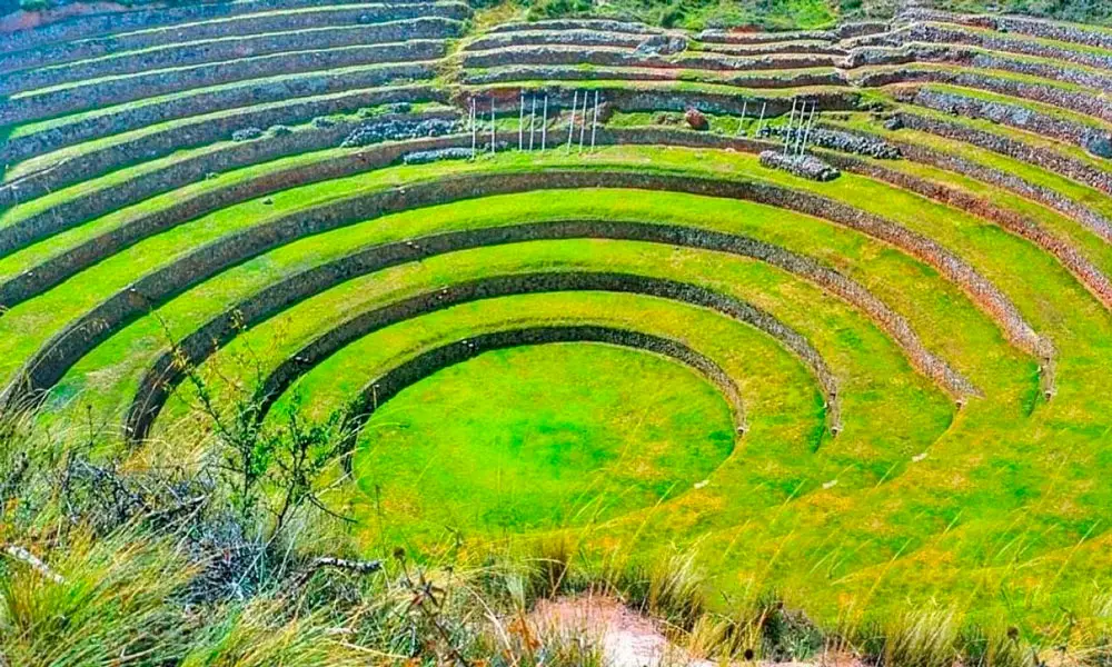 Moray